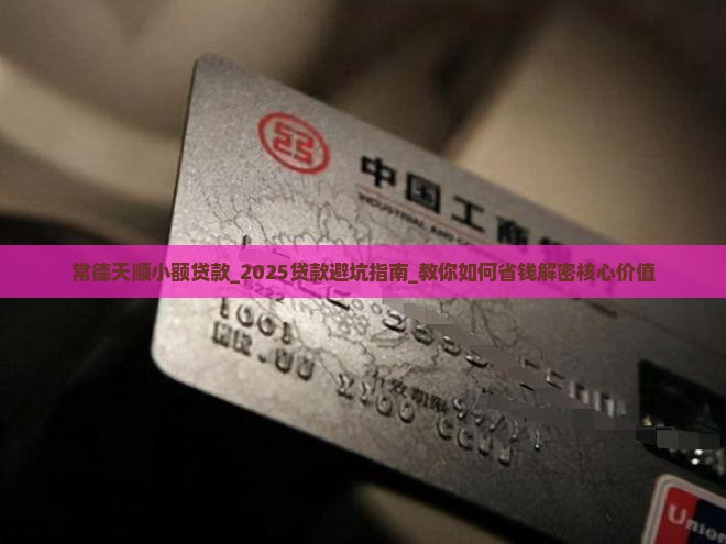 常德天顺小额贷款