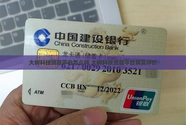 大树科技贷款平台怎么样