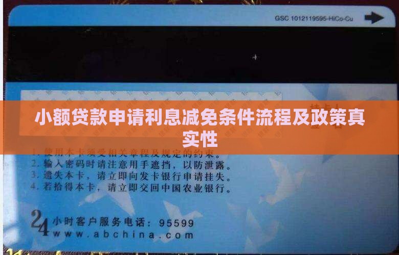 小额贷款申请利息减免