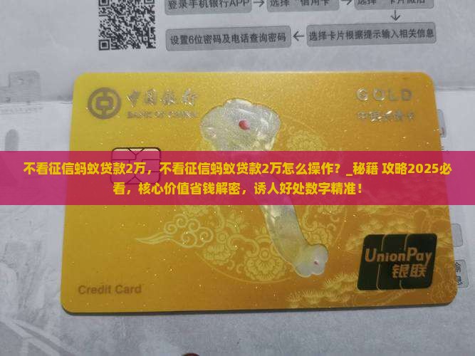 不看征信蚂蚁贷款2万