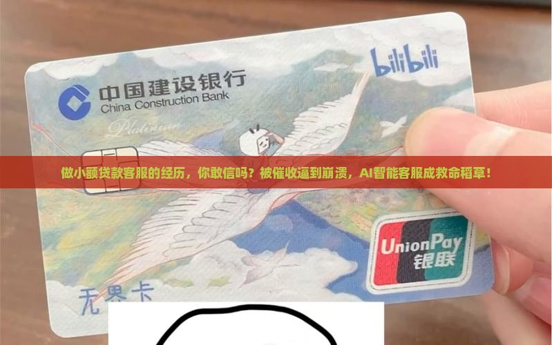 做小额贷款的客服经历
