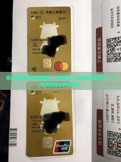 做小额贷款的客服经历