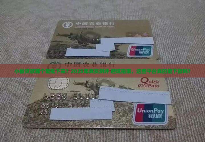 小额贷款哪个能批下来