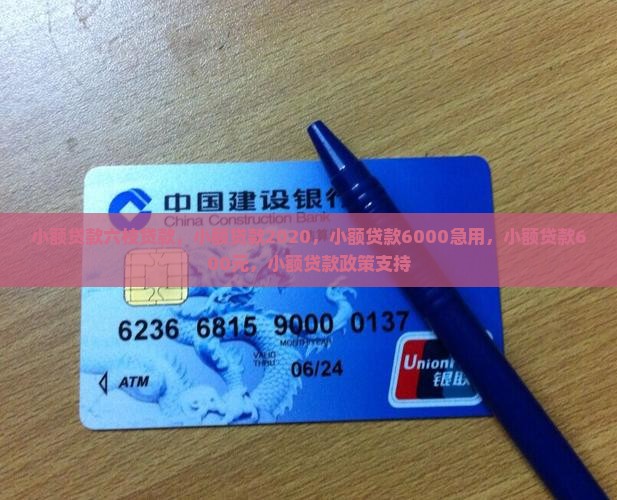 小额贷款六枝