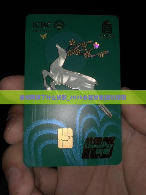 微贷网旗下什么贷款