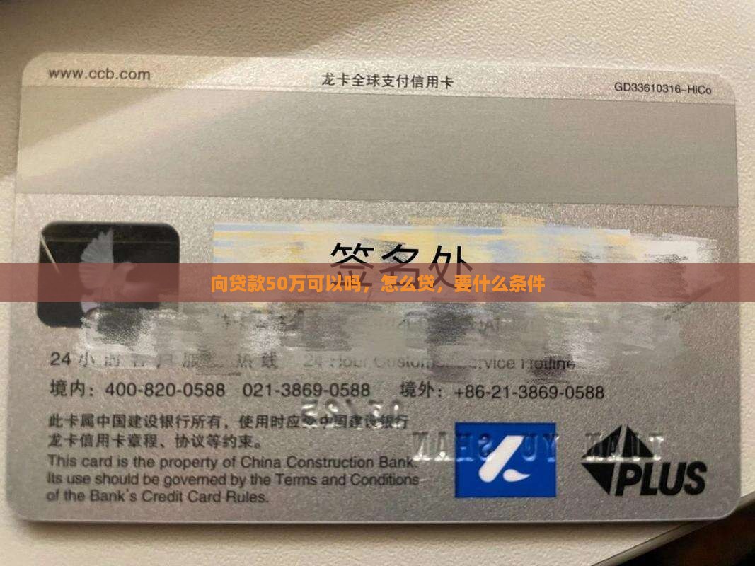 向网商银行贷款50万