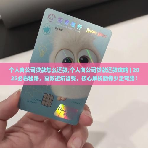个人向公司贷款怎么还款