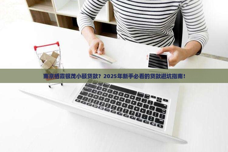 南京栖霞银茂小额贷款