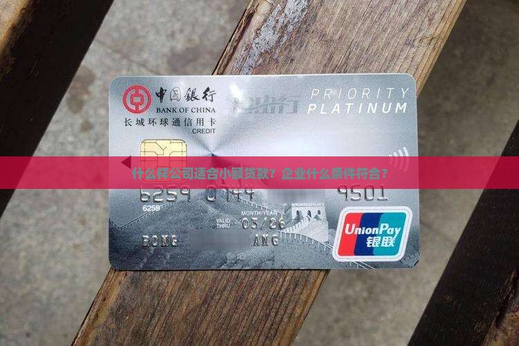 什么样公司适合小额贷款