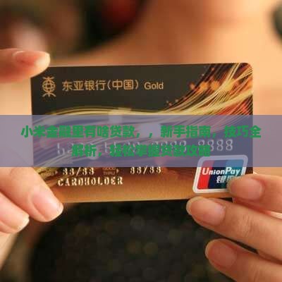 小米金融里有啥贷款