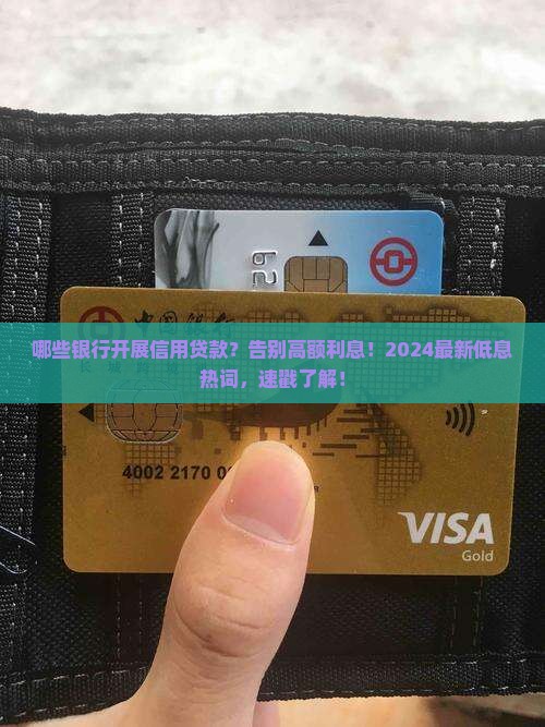 哪些银行开展信用贷款