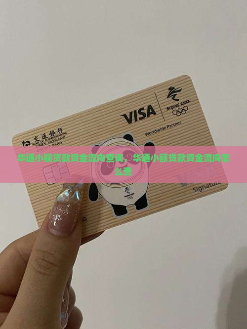 华通小额贷款资金流向