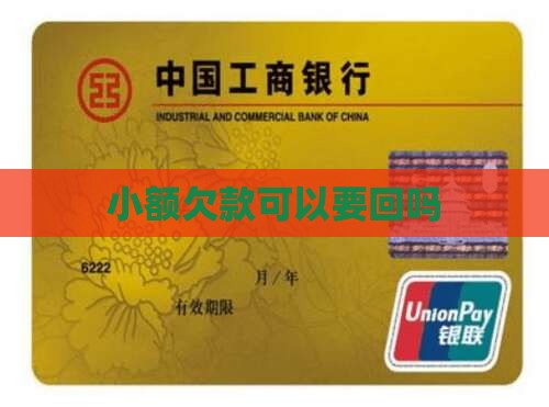 小额贷款随时可以要回吗