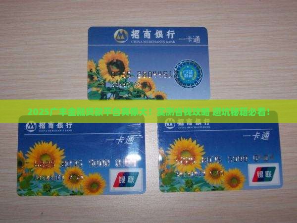 广丰金融贷款平台