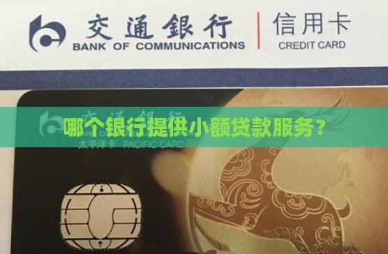 哪个银行提供小额贷款服务？