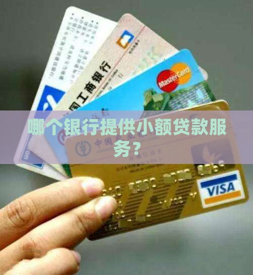 哪个银行提供小额贷款服务？