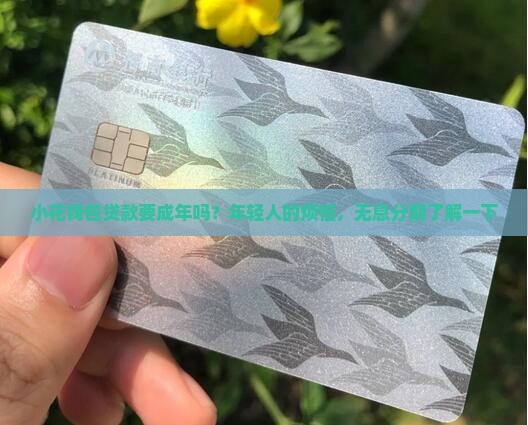 小花钱包贷款要成年吗？年轻人的烦恼，无息分期了解一下