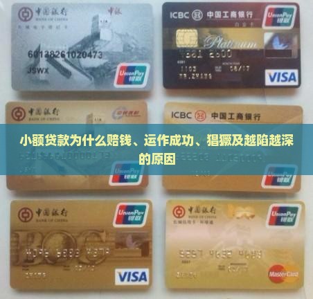 小额贷款为什么赔钱、运作成功、猖獗及越陷越深的原因