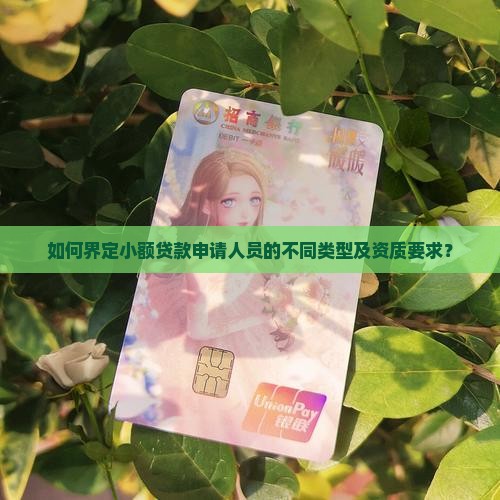 如何界定小额贷款申请人员的不同类型及资质要求？