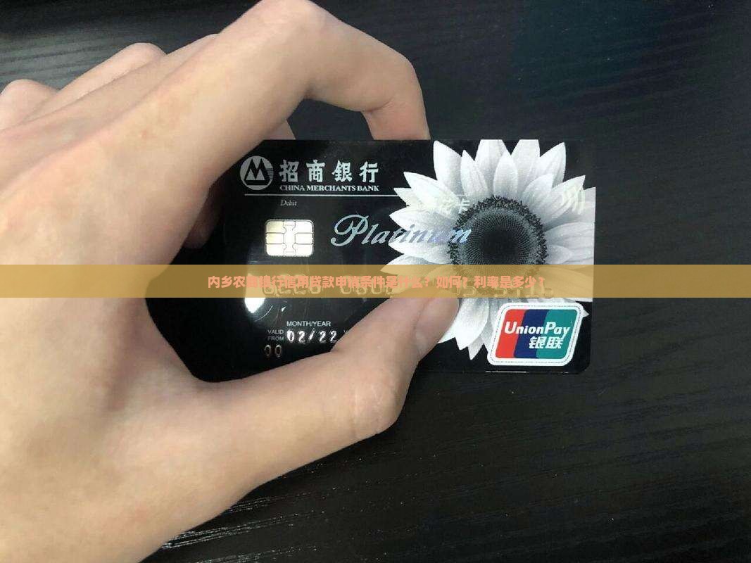 内乡农商银行信用贷款申请条件是什么？如何？利率是多少？