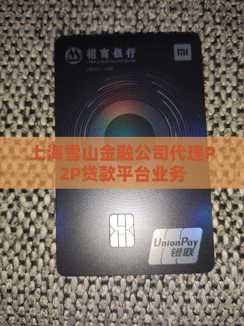 上海雪山金融公司代理P2P贷款平台业务