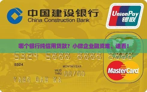 哪个银行纯信用贷款？小微企业融资难、速看！