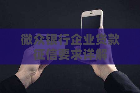 微众银行企业贷款征信要求详解