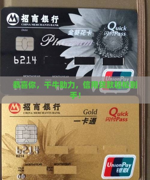 恭喜你，千牛助力，信用贷款轻松到手！