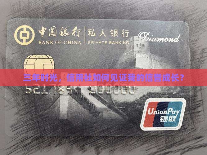 三年时光，信用社如何见证我的信誉成长？