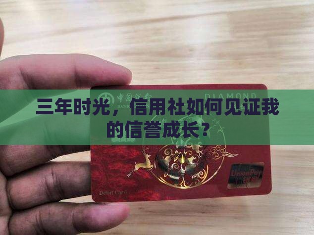 三年时光，信用社如何见证我的信誉成长？