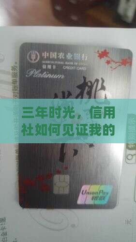 三年时光，信用社如何见证我的信誉成长？