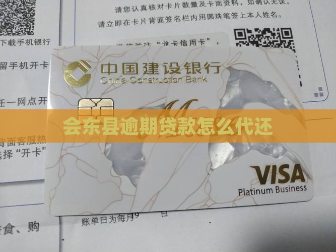会东县逾期贷款怎么代还