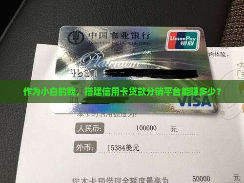 作为小白的我，搭建信用卡贷款分销平台能赚多少？