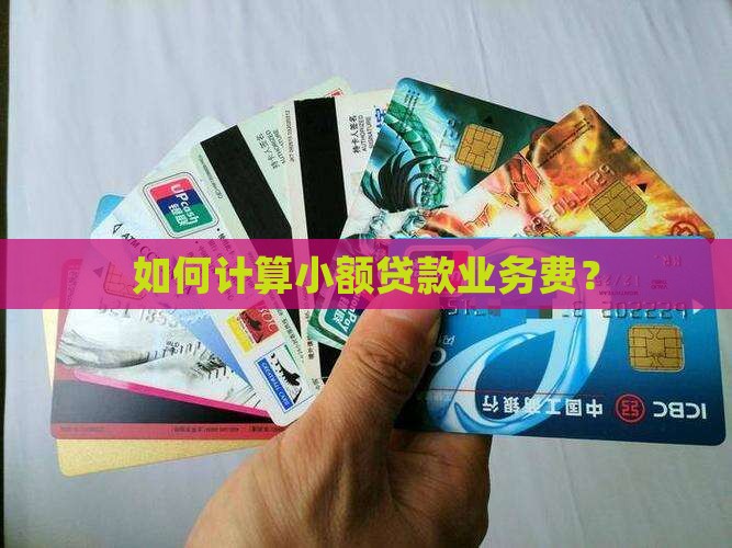 如何计算小额贷款业务费？