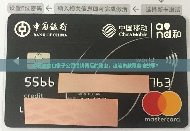 中石油金口袋子公司借钱背后的秘密，这笔贷款藏着啥故事？