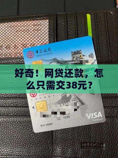 好奇！网贷还款，怎么只需交38元？