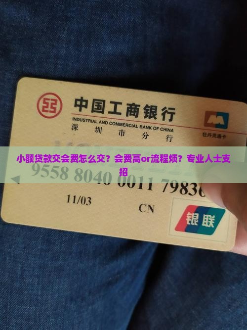 小额贷款交会费怎么交？会费高or流程烦？专业人士支招
