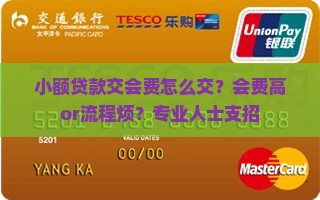 小额贷款交会费怎么交？会费高or流程烦？专业人士支招