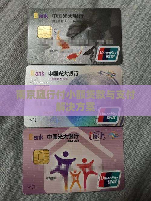 南京随行付小额贷款与支付解决方案