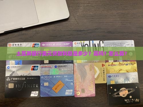 土耳其银行美元贷款利息是多少？高吗？怎么算？