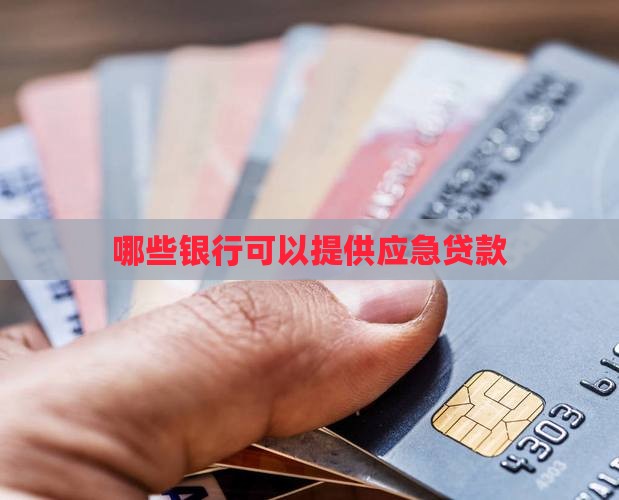 哪些银行可以提供应急贷款
