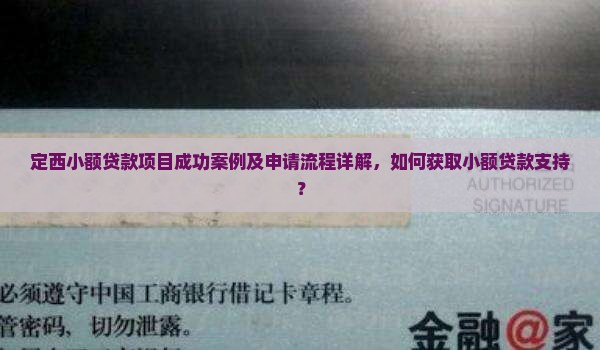 定西小额贷款项目成功案例及申请流程详解，如何获取小额贷款支持？