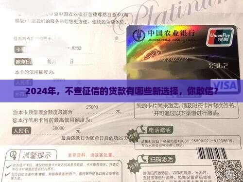 2024年，不查征信的贷款有哪些新选择，你敢信？