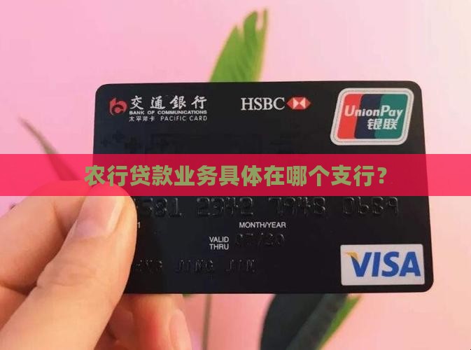 农行贷款业务具体在哪个支行？