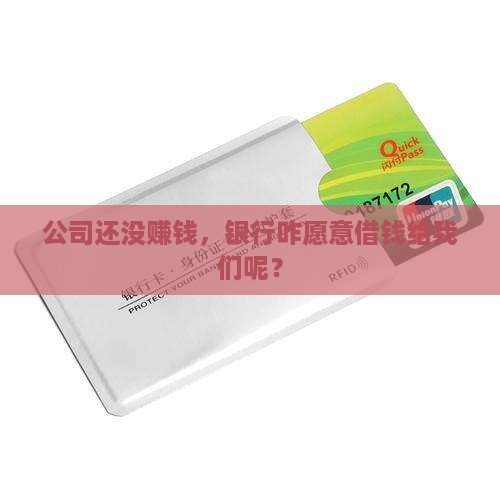 公司还没赚钱，银行咋愿意借钱给我们呢？