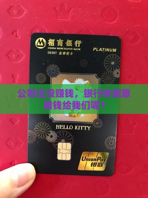 公司还没赚钱，银行咋愿意借钱给我们呢？