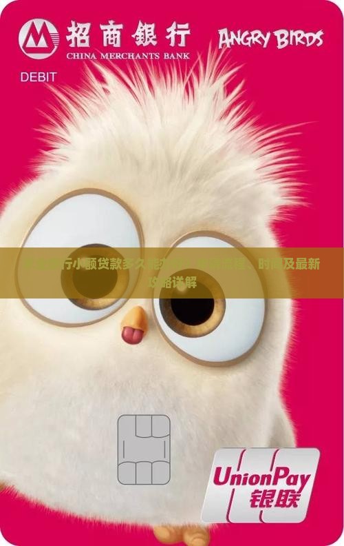 农业银行小额贷款多久能办好？申请流程、时间及最新攻略详解