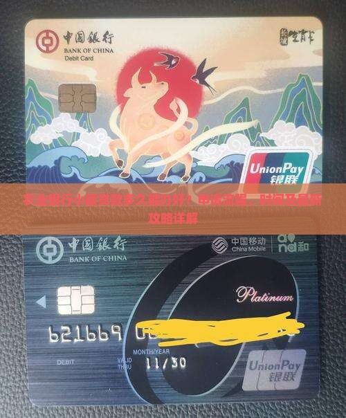 农业银行小额贷款多久能办好？申请流程、时间及最新攻略详解