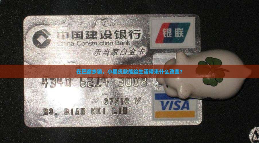 在巴彦乡镇，小额贷款能给生活带来什么改变？