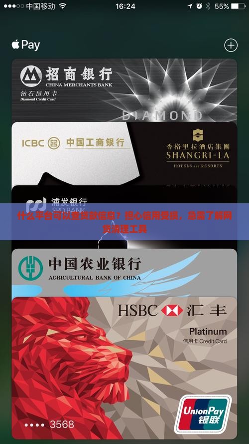 什么平台可以查贷款信息？担心信用受损，急需了解网贷清理工具